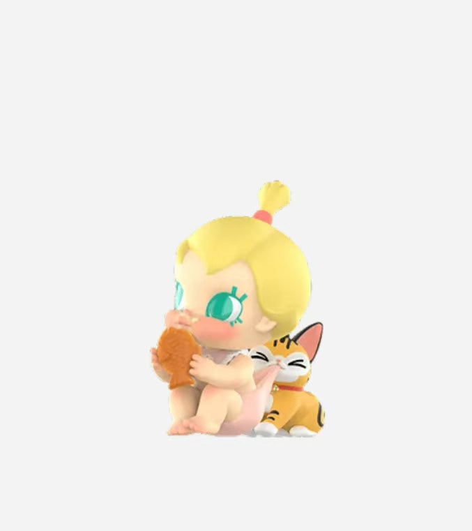 【MOLLY】[BABY TABBY]