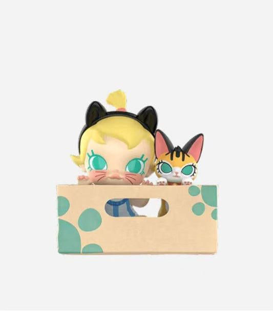 【MOLLY】[BABY TABBY]